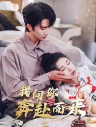 《我向你奔赴而来》免费在线观看短剧高清全集完整版