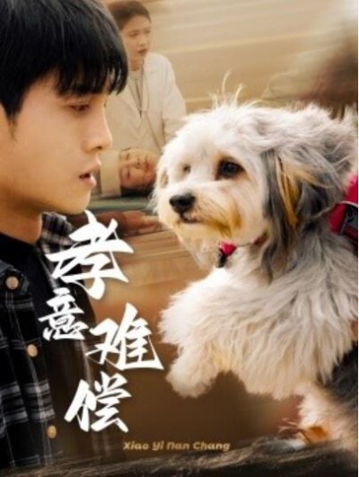 《孝意难偿》短剧高清全集免费在线观看播放完整版