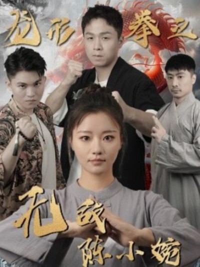 《龙形拳之无敌陈小婉》短剧高清全集免费在线观看