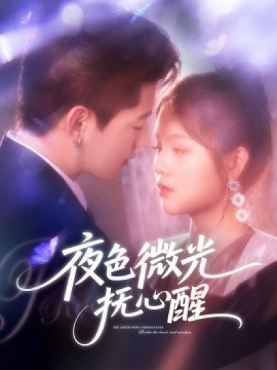 《夜色微光抚心醒》免费在线观看短剧高清全集完整版