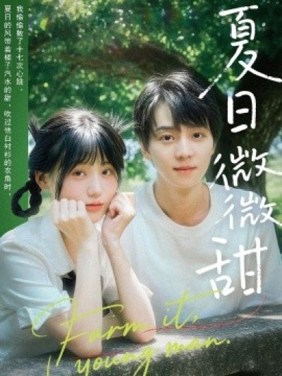 《夏日微微甜》免费在线观看短剧高清全集完整版