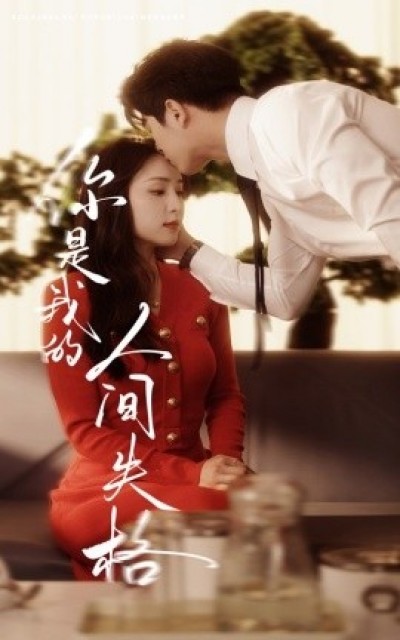 《你是我的人间失格》免费在线观看短剧高清全集完整版