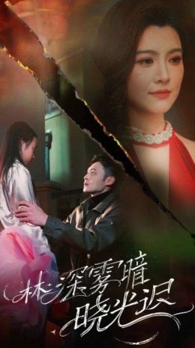 《林深雾暗晓光迟》免费在线观看短剧高清全集完整版