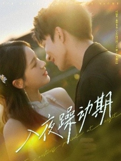《入夜躁动期》免费在线观看短剧高清全集完整版