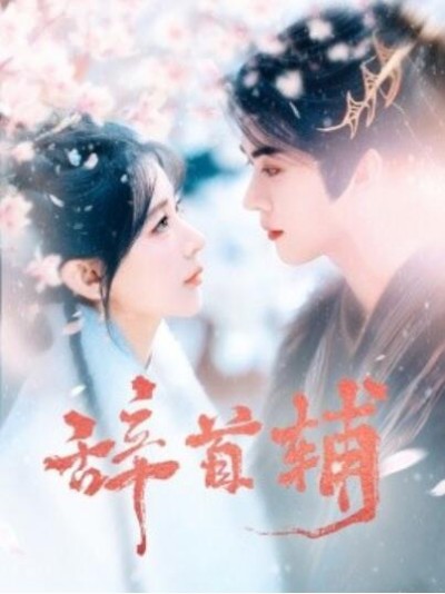 《辞首辅》短剧高清全集免费在线观看播放完整版