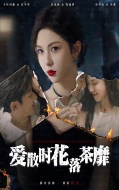 《爱散时花落茶靡》短剧高清全集免费在线观看