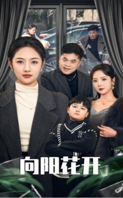 《向阳花开》短剧高清全集免费在线观看播放完整版