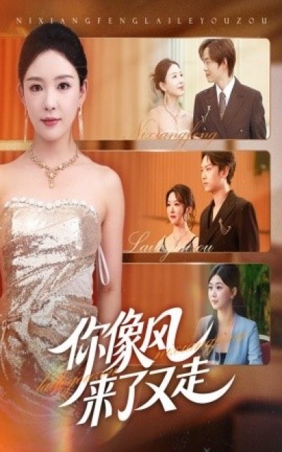 《你像风来了又走》免费在线观看短剧高清全集完整版
