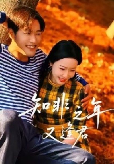 《知非之年又逢君》免费在线观看短剧高清全集完整版