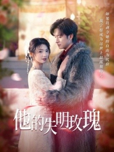 《他的失明玫瑰》免费在线观看短剧高清全集完整版