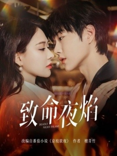 《致命夜焰》免费在线观看短剧高清全集完整版