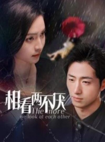 《相看两不厌》短剧高清全集免费在线观看