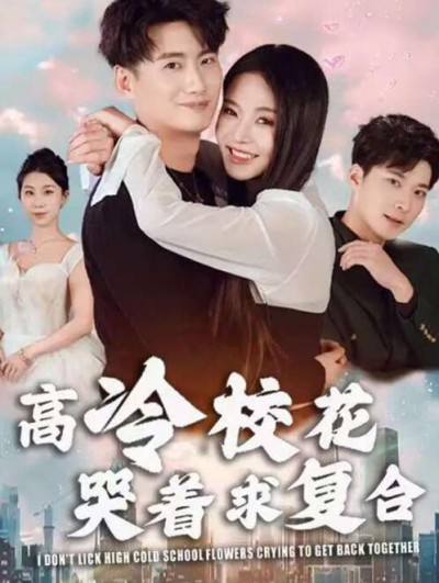 《高冷校花哭着求复合》短剧高清全集免费在线观看播放完整版