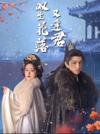 《双生花落又逢君》免费在线观看短剧高清全集完整版