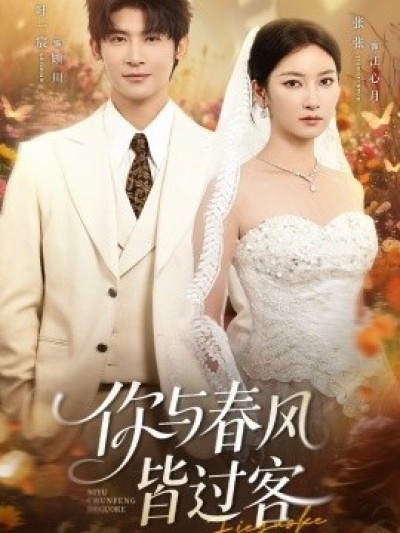《你与春风皆过客》免费在线观看短剧高清全集完整版