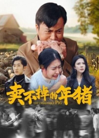 《卖不掉的年猪》短剧高清全集免费在线观看