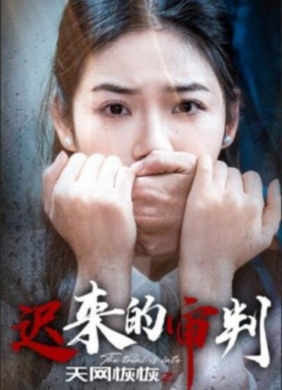 《天网恢恢之迟来的审判》短剧高清全集免费在线观看