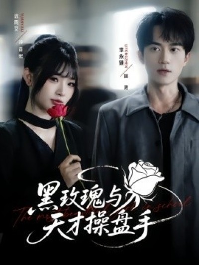 《黑玫瑰与天才操盘手》免费在线观看短剧高清全集完整版