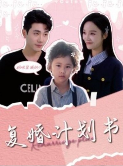 《复婚计划书》短剧高清全集免费在线观看