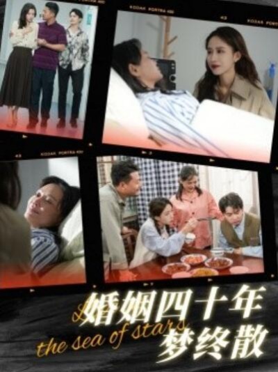 《婚姻四十年梦终散》短剧高清全集免费在线观看