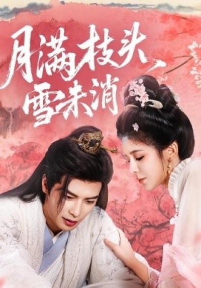 《月满枝头雪未消》免费在线观看短剧高清全集完整版