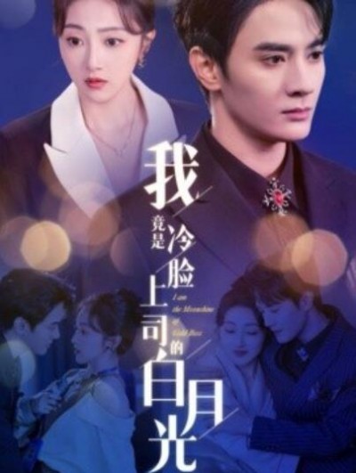 《我竟是冷脸上司的白月光》短剧高清全集免费在线观看