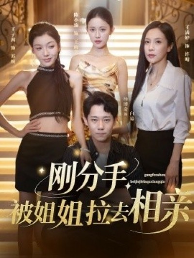 《刚分手被姐姐拉去相亲》免费在线观看短剧高清全集完整版