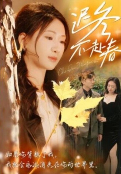 《迟冬不赴春》短剧高清全集免费在线观看
