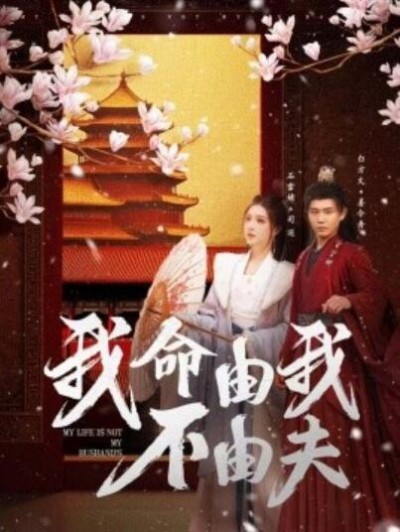 《我命由我不由夫》免费在线观看短剧高清全集完整版