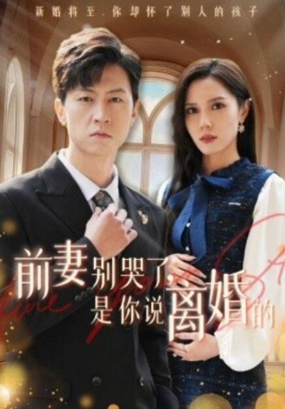 《前妻别哭了，是你说离婚的》短剧高清全集免费在线观看