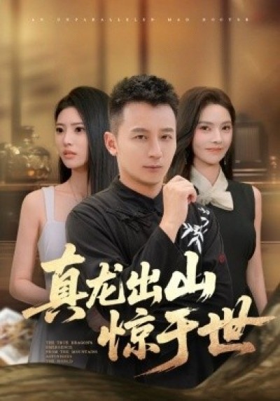 《真龙出山惊于世》免费在线观看短剧高清全集完整版