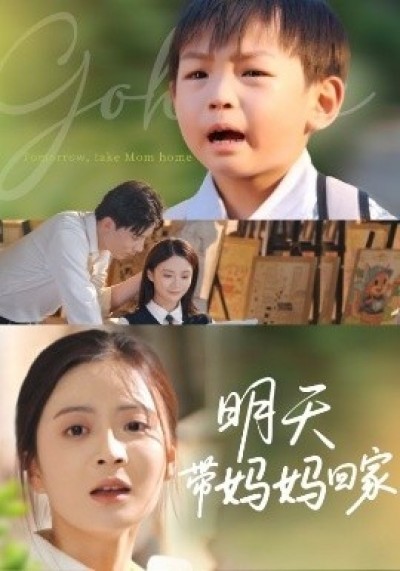 《明天带妈妈回家》免费在线观看短剧高清全集完整版