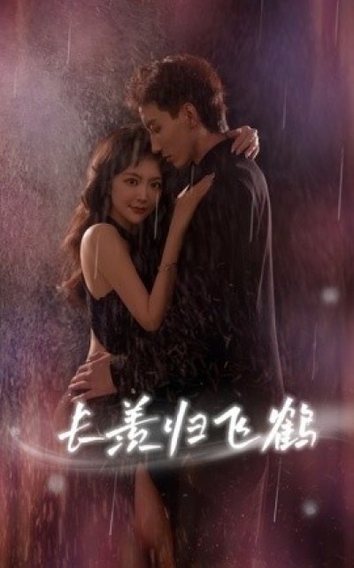 《长羡归飞鹤》免费在线观看短剧高清全集完整版