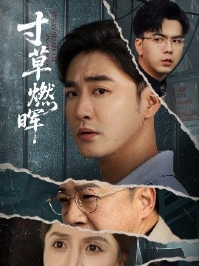 《寸草燃晖》免费在线观看短剧高清全集完整版