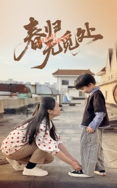 《春归无觅处》免费在线观看短剧高清全集完整版
