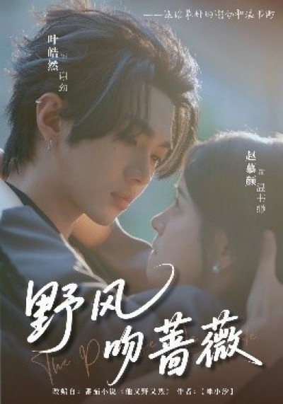 《野风吻蔷薇》免费在线观看短剧高清全集完整版