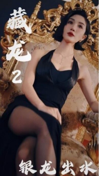 《藏龙2银龙出水》短剧高清全集免费在线观看