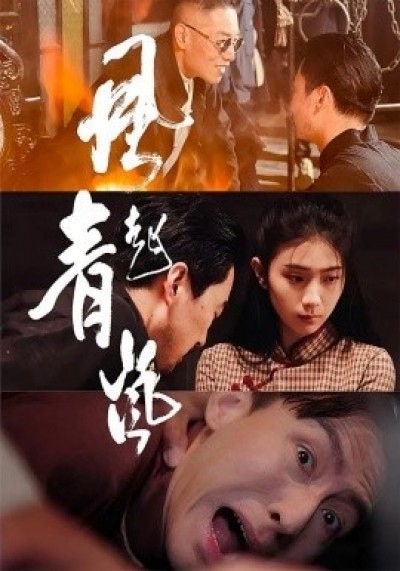 《风起青岚》免费在线观看短剧高清全集完整版