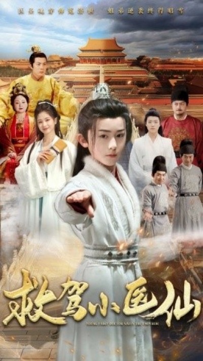 《救驾小医仙》免费在线观看短剧高清全集完整版