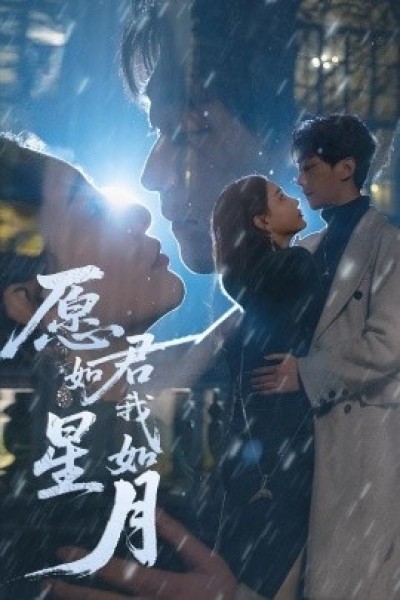 《愿君如星我如月》免费在线观看短剧高清全集完整版