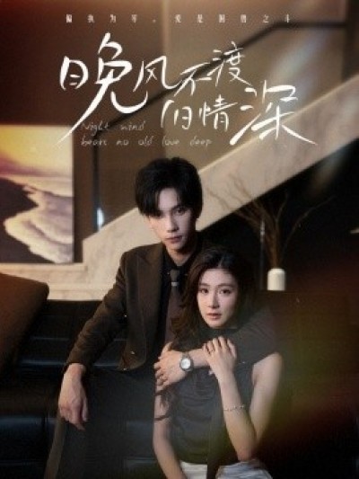 《晚风不渡旧情深》免费在线观看短剧高清全集完整版