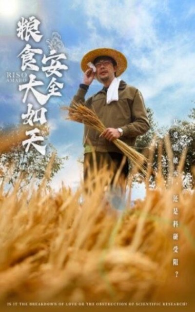 《粮食安全大如天》短剧高清全集免费在线观看播放完整版