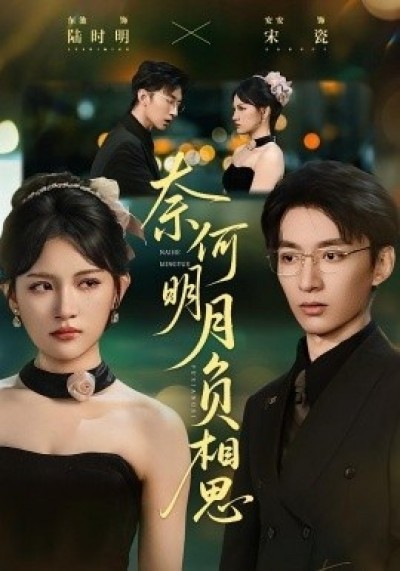 《奈何明月负相思》免费在线观看短剧高清全集完整版
