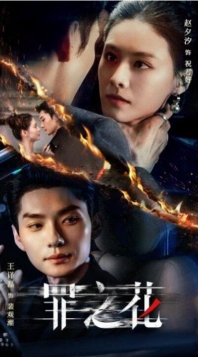 《罪之花》短剧高清全集免费在线观看播放完整版