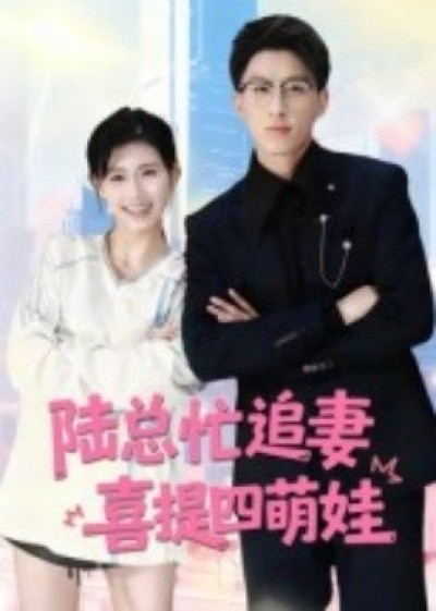 《陆总忙追妻，喜提四萌娃》免费在线观看短剧高清全集完整版