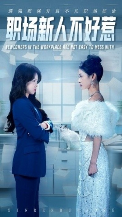 《职场新人不好惹》免费在线观看短剧高清全集完整版