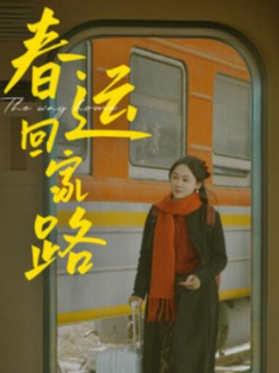 《春运回家路》短剧高清全集免费在线观看