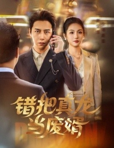 《错把真龙当废婿》免费在线观看短剧高清全集完整版
