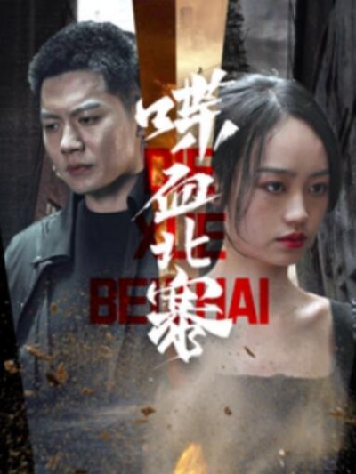 《喋血北寨》短剧高清全集免费在线观看