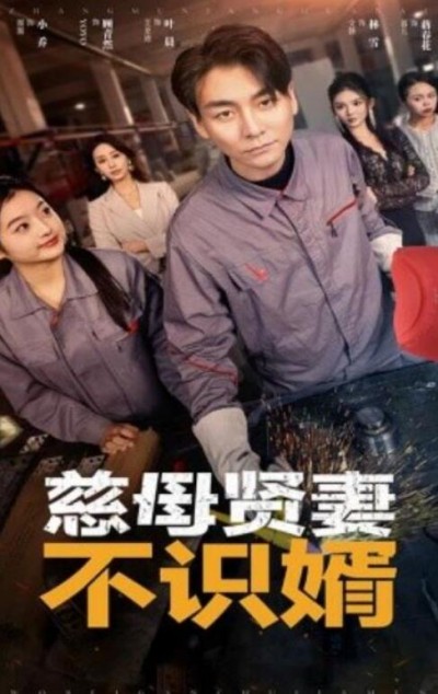 《慈母贤妻不识婿》短剧高清全集免费在线观看